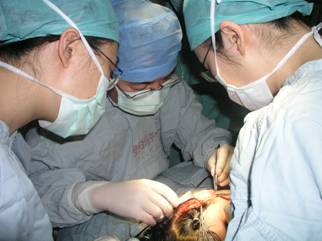 张智勇简介 图片1.jpg