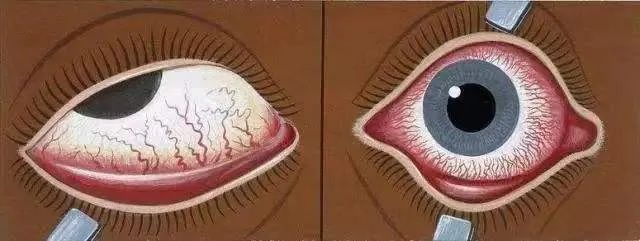 1670910666776.jpg 微信图片_20221213134958.jpg