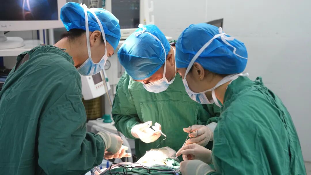 1759108600896.jpg 1759108600896.jpg